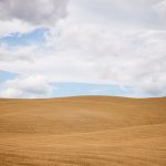 Perlin noise techniques for realistic terrain in game engines